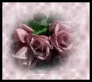 KAY 9