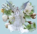 Fairy Day
