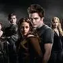 twilight group
