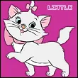 White Kitten