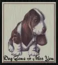 Hound Dog