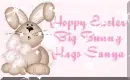 bunny