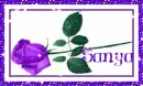 purple rose