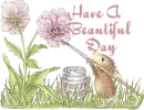 Have a beautiful day