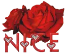nice , rose
