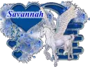 Savannah name