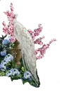 White peacock