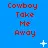 Cowboy Take Me Away