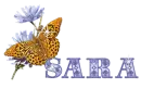 Sara