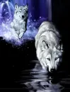 white wolves
