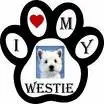 westie 