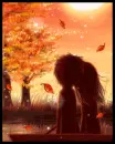 sunset love