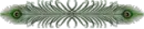 Indian Feather
