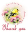 Spring Bird