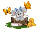 creddy