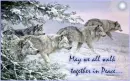 wolves