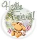 lamb hello