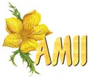 amii