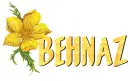 Behnaz