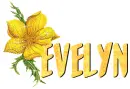 evelyn