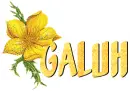 galuh