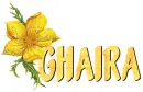 ghaira