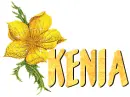 kenia