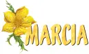 marcia