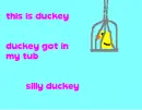 silly duckey