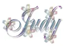 judy
