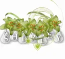 Shirley