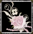 Pink Rose