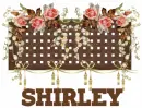 Shirley