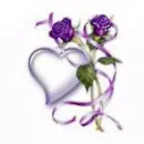 purple rose