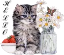 Kitten with Butterfly - Hello
