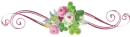 Sweet roses