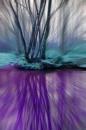TrippTastic