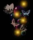 SWEET NIGHTFALL
