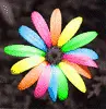 Rainbow Flower