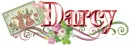 Darcy ... bears tag