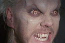 Lost Boys