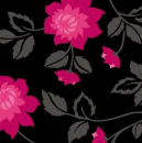 Pink and Black 