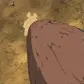 Sakura Haruno.