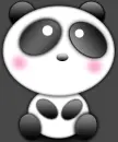 cute panda