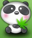 cute panda
