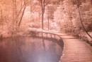 Mistic Summer