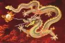 Orb Dragon