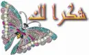 shokran Butterfly