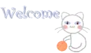 welcome cat