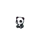 Express Panda
